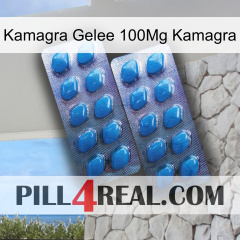 Kamagra Jelly 100Mg Kamagra viagra2
